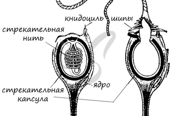 Кракен сайт работает