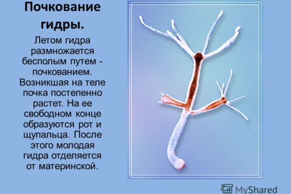 Kraken 13at вход